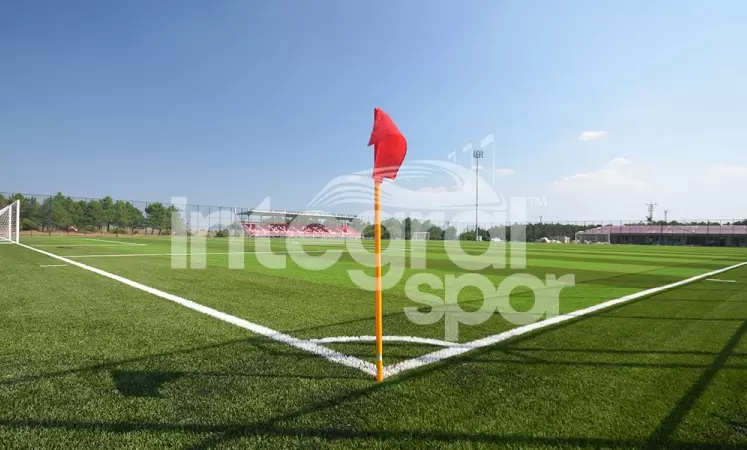 ما هي الميزات التي يجب أن يتمتع بها العشب الصناعي عالي الجودة؟