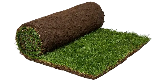 العشب الطبيعي