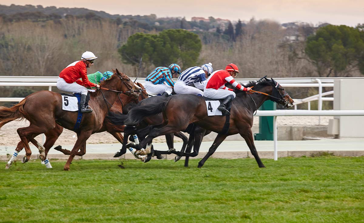 Racecourses1?>