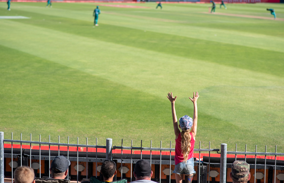 تصميم المجال المهني