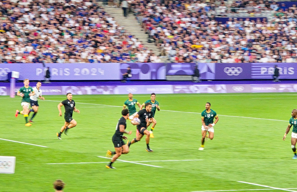 خيارات العشب المختلفة