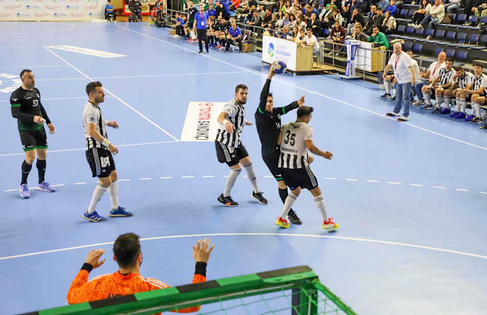 معايير الاتحاد الدولي لكرة اليد