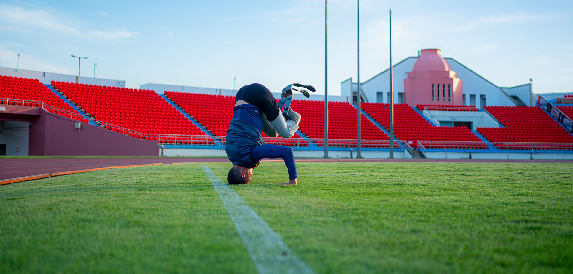 ملاعب الرجبي 2