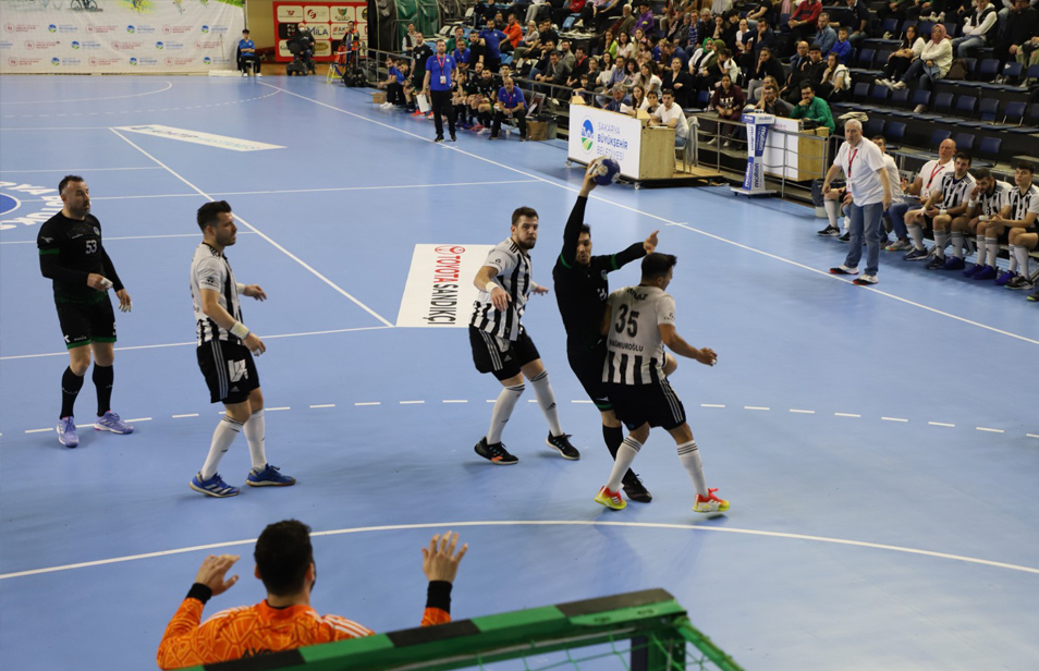 ملاعب كرة اليد