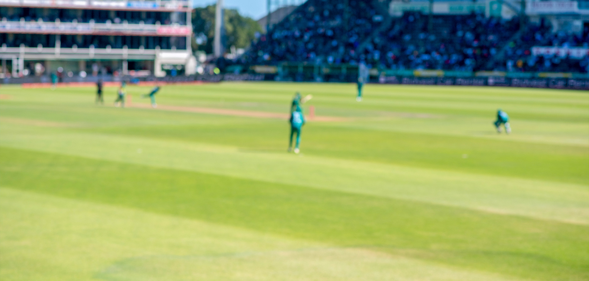 ملعب الكريكيت 4